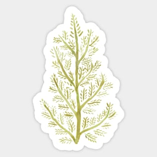 Green Fern Sticker